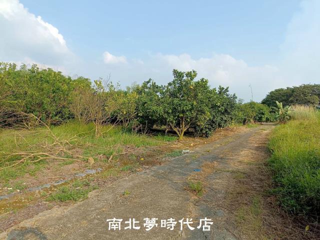 左鎮農地-1