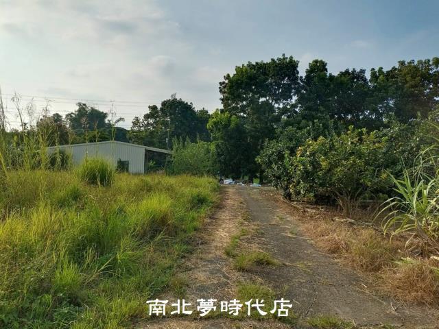 左鎮農地-2