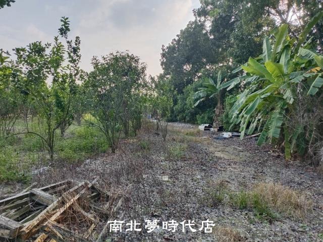左鎮農地-5