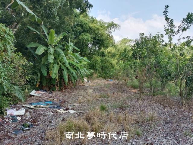 左鎮農地-6