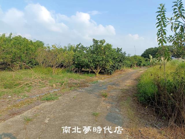左鎮農地-8
