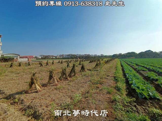 善化農地-1