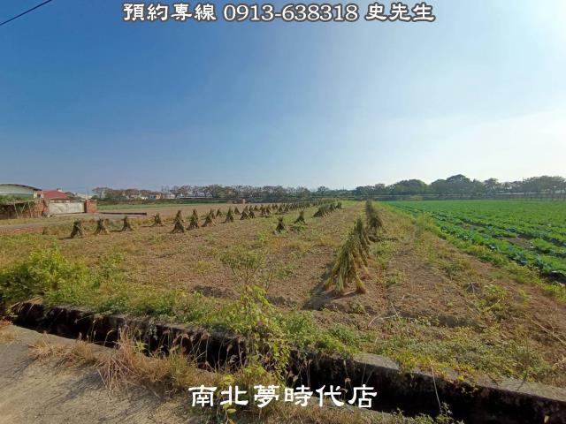 善化農地-3