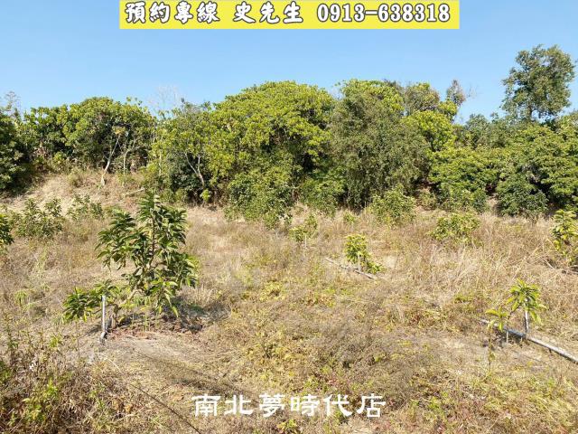 台南農地-2