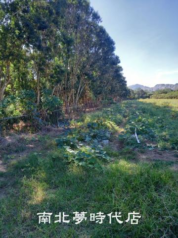 台南農地-1