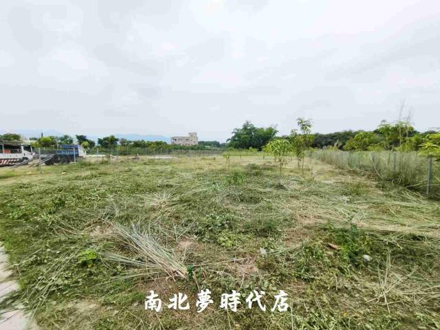 玉井農地-4