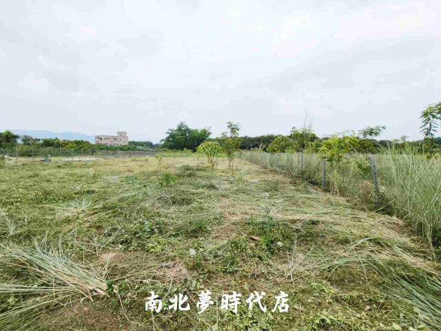 玉井農地-5