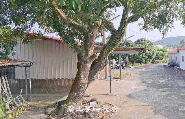 台南楠西農地-11
