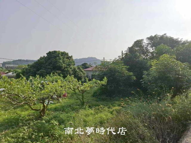 台南楠西農地-13