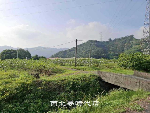 台南楠西農地-0