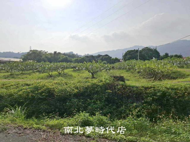 台南楠西農地-1