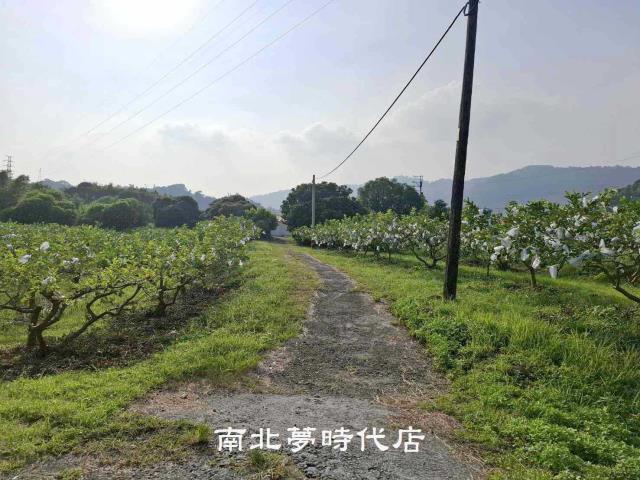 台南楠西農地-3