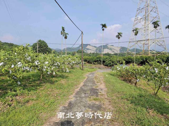 台南楠西農地-5