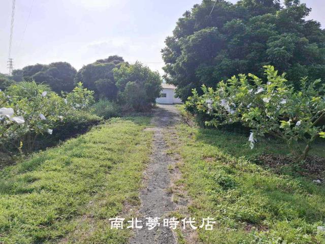 台南楠西農地-6