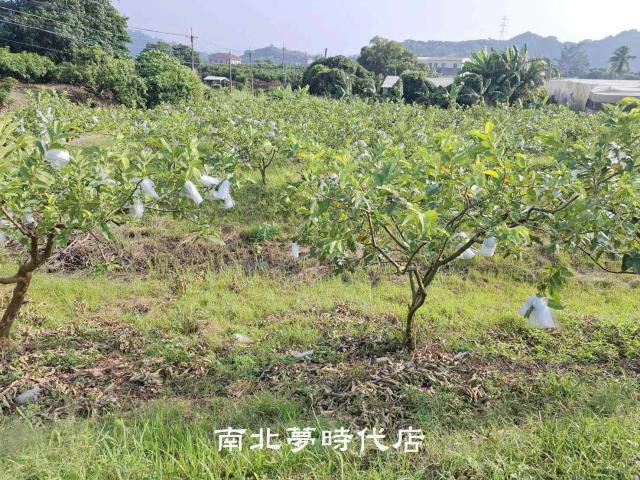 台南楠西農地-7