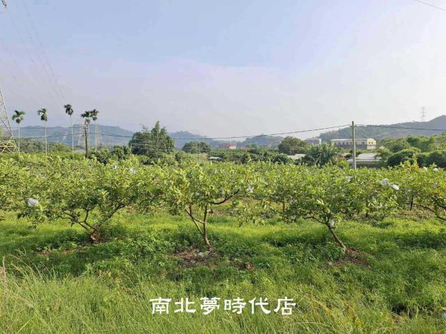 台南楠西農地-8