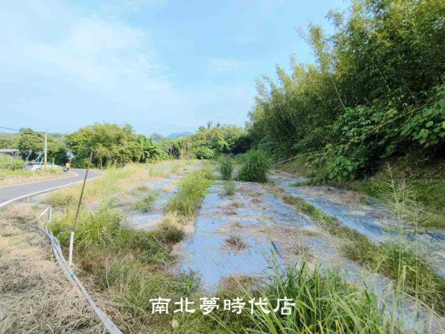 玉井農地-0