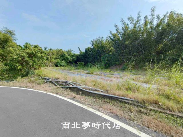 玉井農地-2