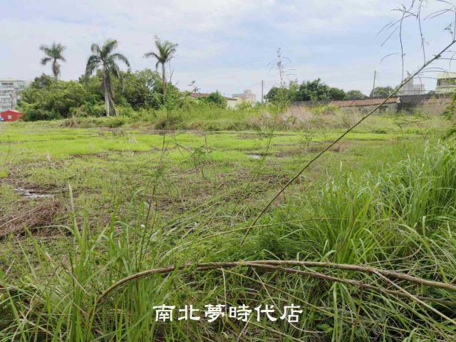 新市農地-10