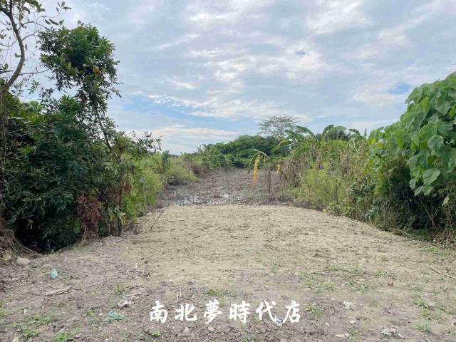 大內農地-4