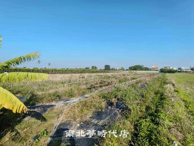 台南農地-1
