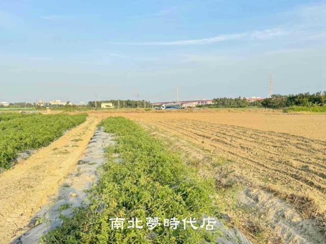 台南農地-2