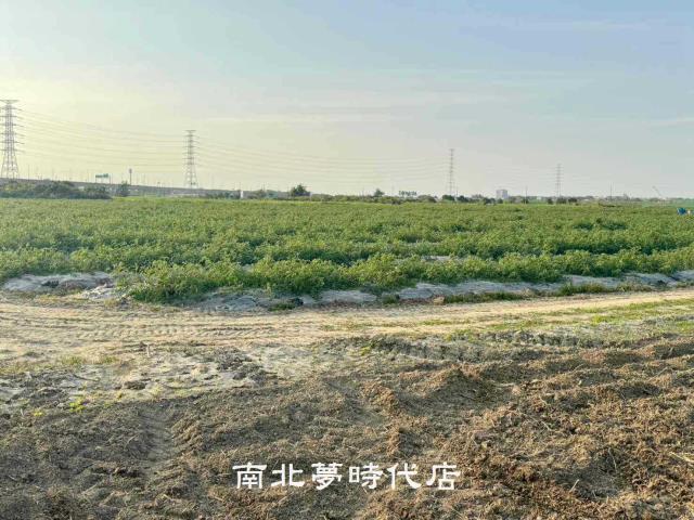 台南農地-5