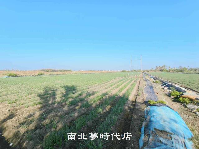 安南農地-0