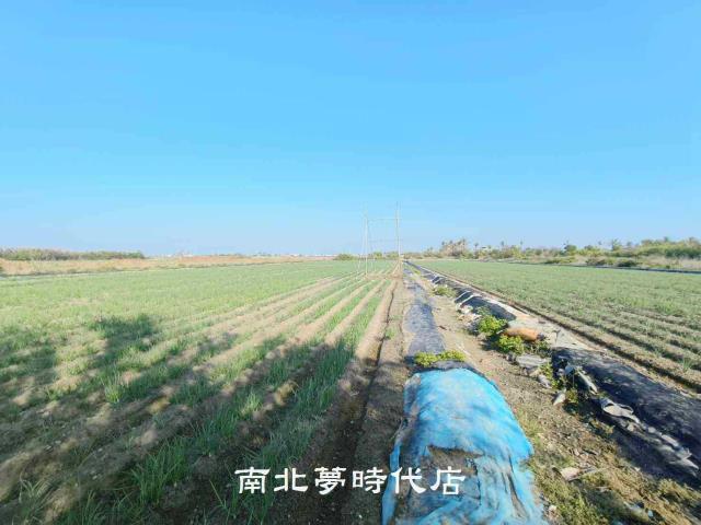 安南農地-1
