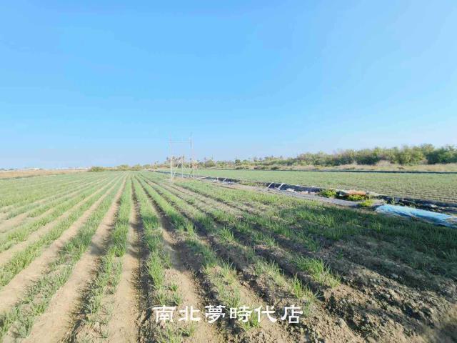 安南農地-6