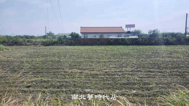麻豆農地-2
