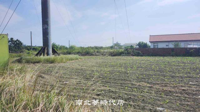 麻豆農地-3