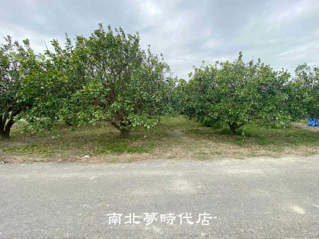 台南麻豆農地-5