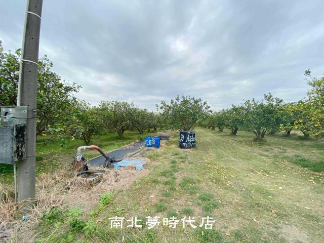 台南麻豆農地-6