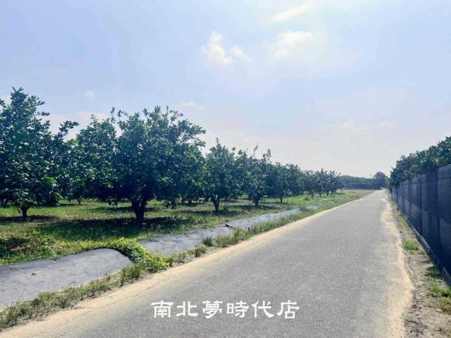 台南農地-2