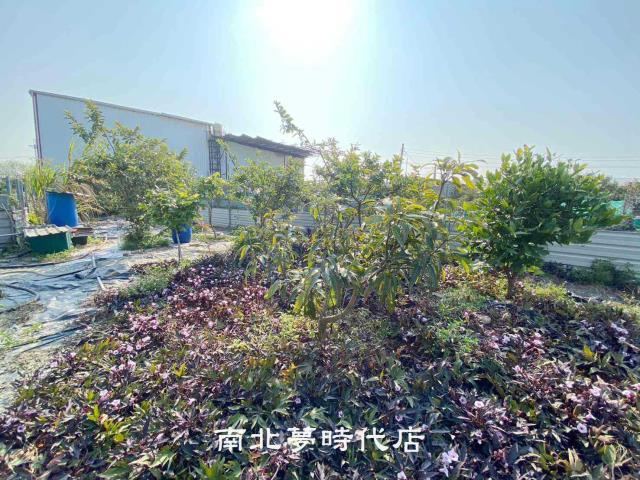 南區農地-3