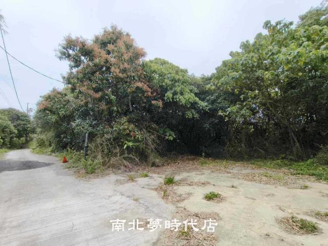 新化農地-2