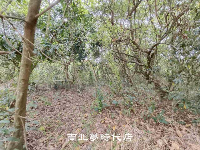 新化農地-4