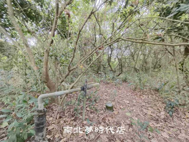 新化農地-5