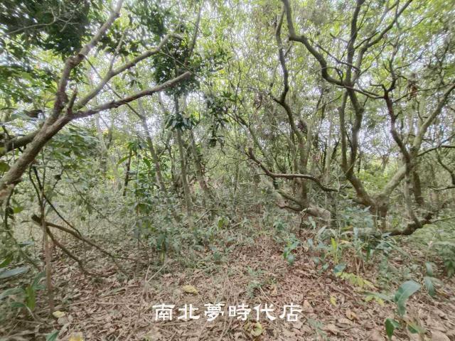 新化農地-6