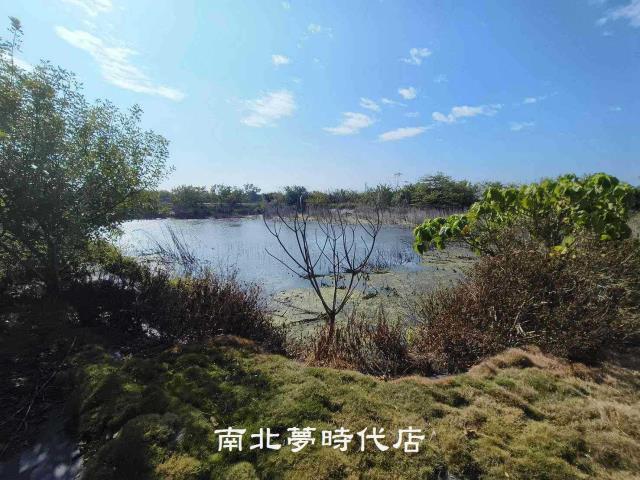 台南農地-3