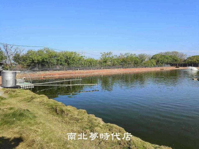 台南農地-6