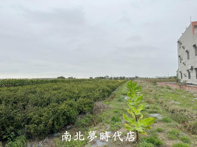太保農地-1