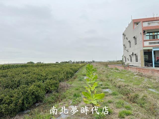 太保農地-7