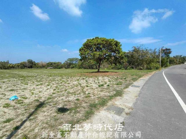 六甲農地-9