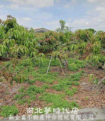 楠西建地-0