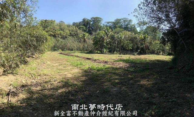 新化農地-3