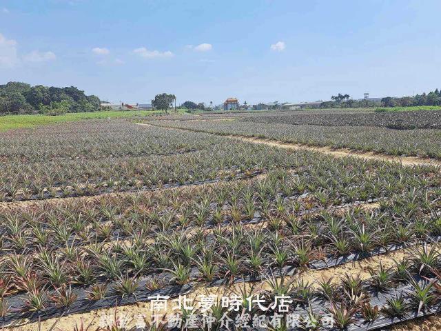 關廟農地-2