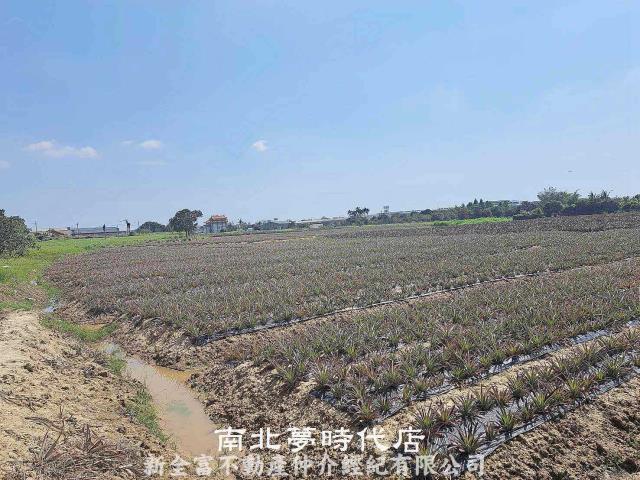 關廟農地-3