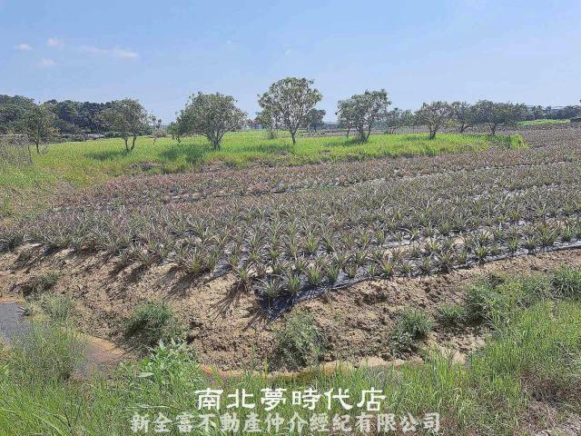 關廟農地-5